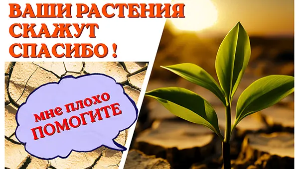 Почему ваш полив в питомнике или теплице работает, но растения всё равно страдают